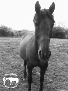 Rain: April 24, 2015