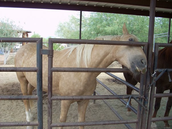 Picture taken a month after knowing Chance - June 2009