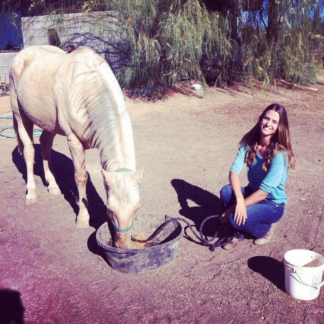 November 2014 - figuring it out!