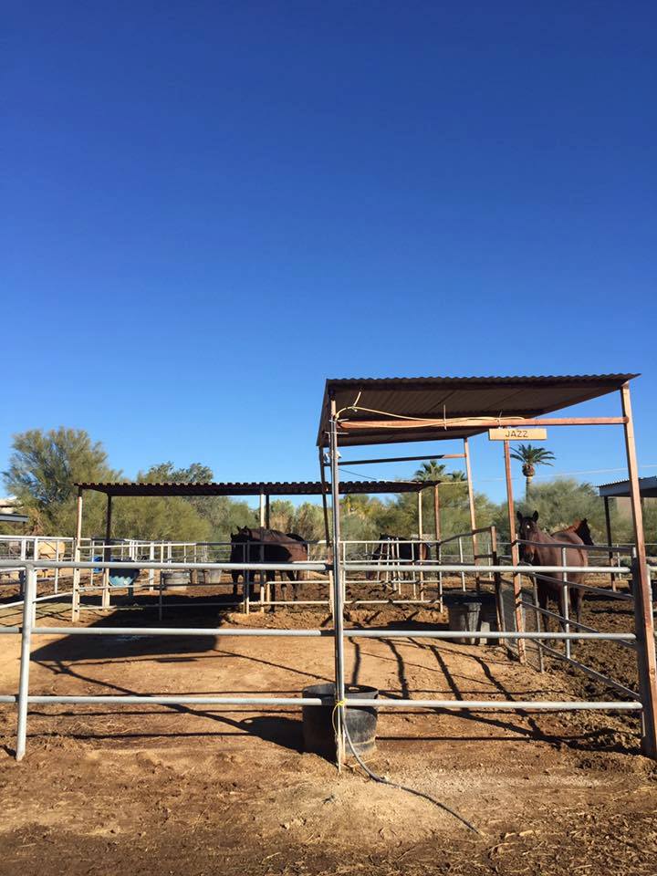 Head vs. Heart: A Follow Up